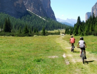 Adentrandonos en el bosque con la bici